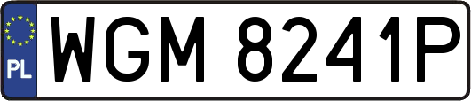WGM8241P