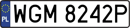 WGM8242P