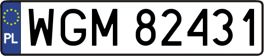 WGM82431
