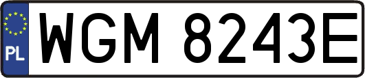 WGM8243E