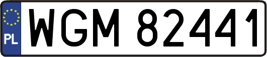 WGM82441