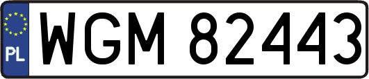 WGM82443