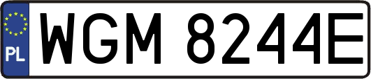 WGM8244E