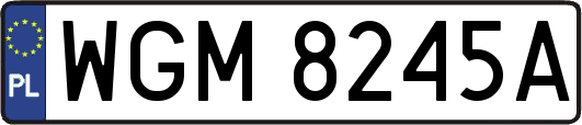 WGM8245A