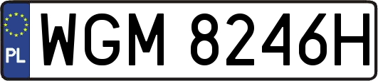 WGM8246H