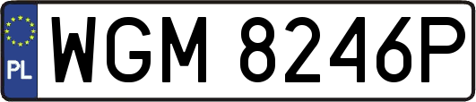 WGM8246P