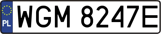 WGM8247E