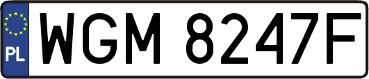 WGM8247F
