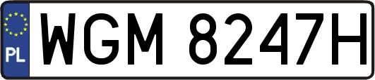 WGM8247H