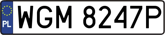 WGM8247P
