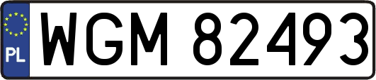 WGM82493