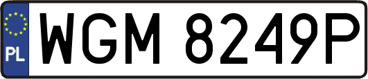 WGM8249P