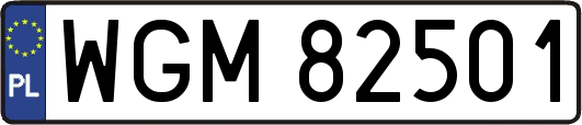 WGM82501
