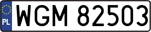 WGM82503