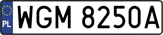 WGM8250A
