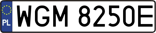 WGM8250E