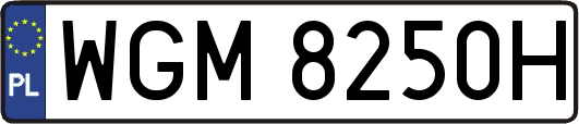 WGM8250H