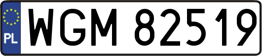 WGM82519