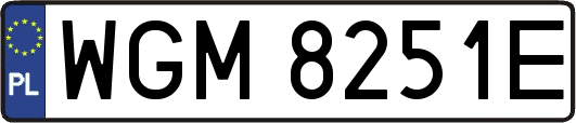 WGM8251E