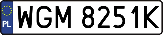 WGM8251K