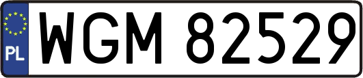 WGM82529