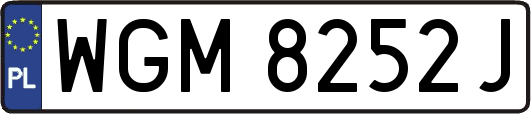 WGM8252J