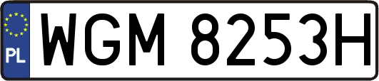 WGM8253H