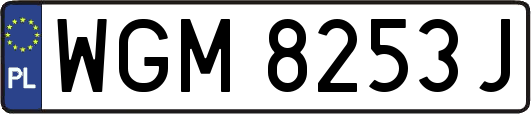 WGM8253J