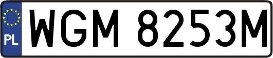 WGM8253M