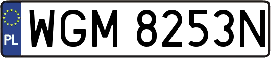 WGM8253N
