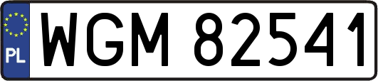 WGM82541