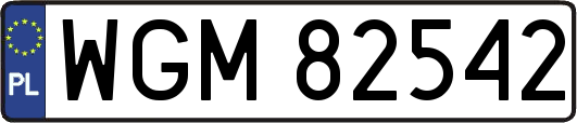 WGM82542
