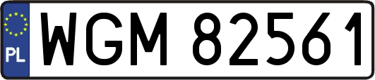 WGM82561