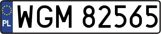WGM82565