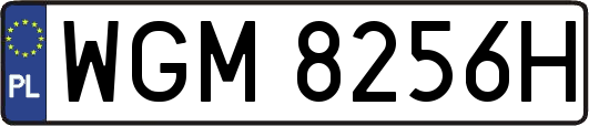 WGM8256H