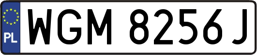WGM8256J