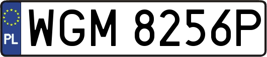 WGM8256P