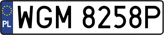 WGM8258P