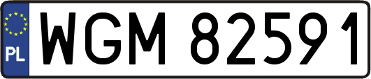 WGM82591