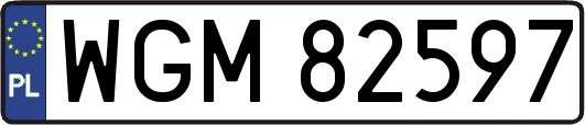 WGM82597
