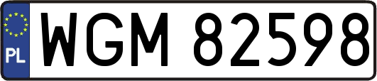 WGM82598
