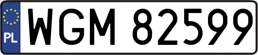 WGM82599