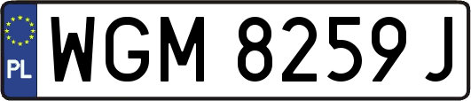 WGM8259J