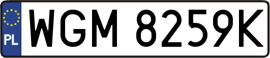 WGM8259K