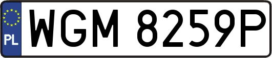 WGM8259P