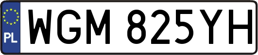 WGM825YH