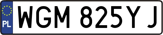 WGM825YJ