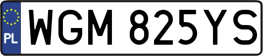 WGM825YS
