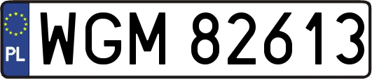 WGM82613