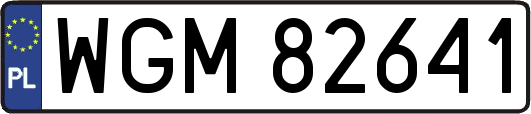 WGM82641